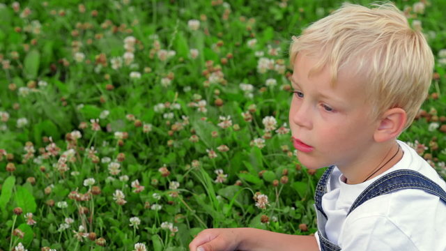 Happy little boy on the sunny meadow