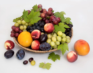 green grape,red grape,black grape with leaves,mango,plums