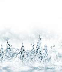 Winter. Snowfall.