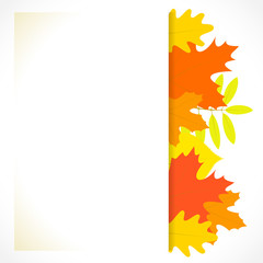 Greeting card with autumn leaves on the background, in vector