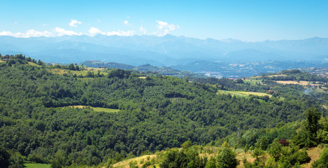 Naklejka premium Langhe, letnia panorama winnic Barolo. Kolorowy obraz