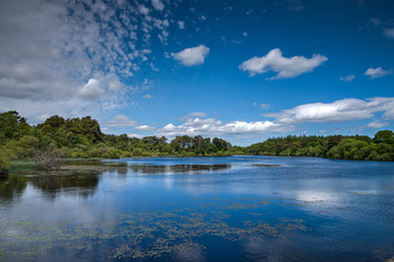 River Vartry in Wicklow