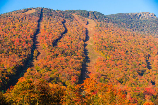 Fall foliage on Mt. Mansfield ski trails.