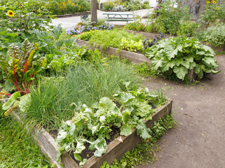 Wooden garden frames