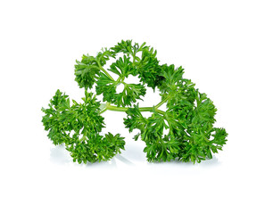 Fototapeta premium parsley isolated on white background