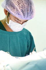 Fototapeta premium veterinarian surgery in operation room
