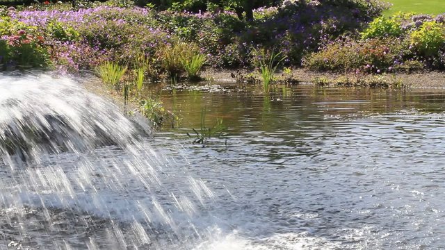  waterfall in a garden pond
 