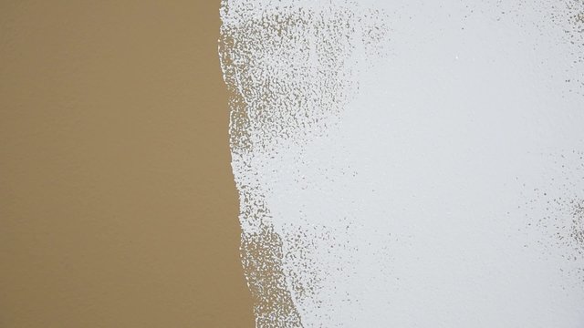 Closeup of rolling new paint on a wall
