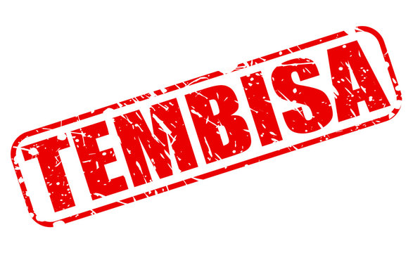 TEMBISA red stamp text on white
