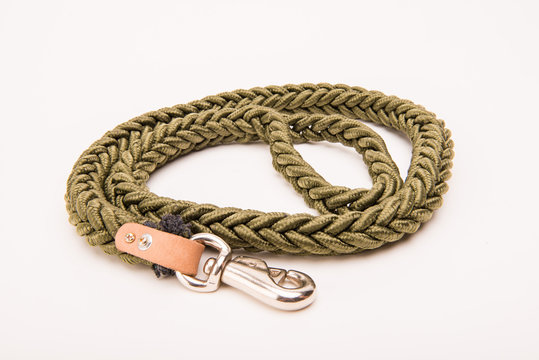 Leash for walking the dog