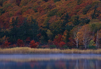 秋田県八幡平　大沼の紅葉
