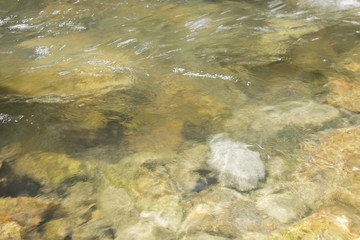 The rapid flow of water in a mountain stream