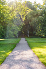 Obraz premium Straight pathway going into the forest