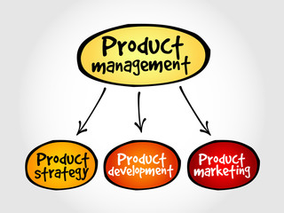 Product management mind map, business concept