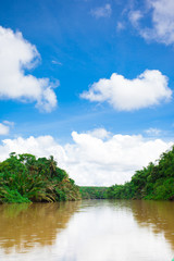 River in tropical rain forest