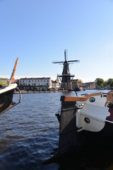 Adriaan Molen, Haarlem