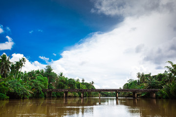 Fototapeta premium River in tropical rain forest