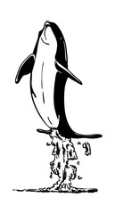 vector -  Dolphins  jumping out of the water