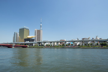 Naklejka premium 隅田川と東京スカイツリー