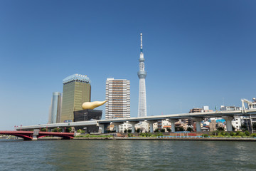 Obraz premium 隅田川と東京スカイツリー