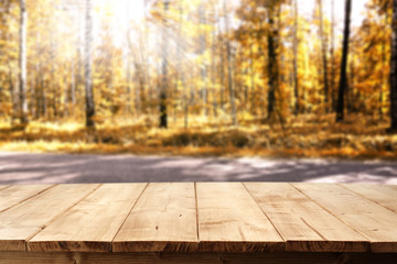 fall 