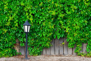 a fence made of wood, vines and lantern