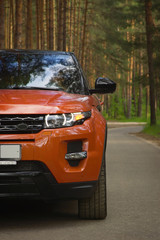 Fototapety na wymiar - Fototapeta24.pl