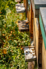 Hives in an apiary with bees flying to the landing boards in a g