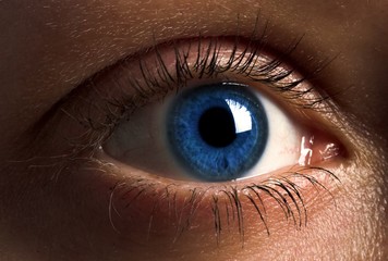 Closeup of human eye with blue pupil