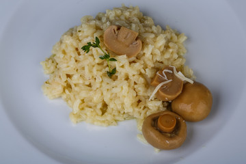 Risotto with mushroom
