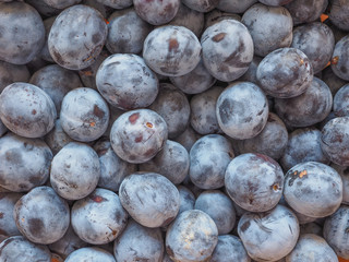 Prune fruits background