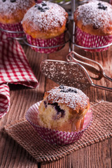 blueberries muffins