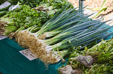 Bunches of Shallots on Market stall