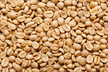 Green Coffee Beans for Background Uses.
