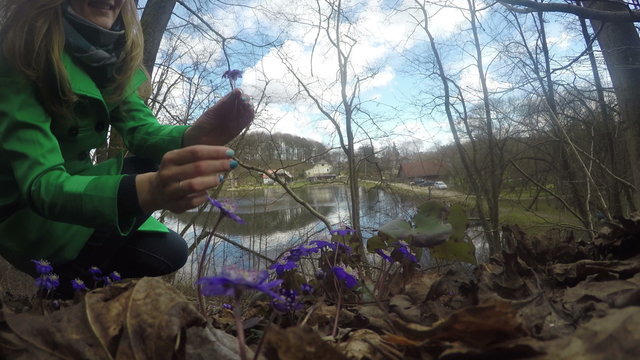 Woman in green coat pick violet hepatica flower blooms in spring time forest. Lake and village houses on background. Cloudy blue sky. 4K UHD wide angle shot.
