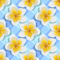 Fototapeta premium Seamless background tropical flowers plumeria