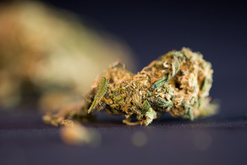 Dry cannabis bud