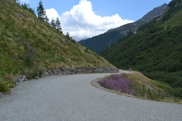 Foto op Plexiglas bergweg in de alpen © henkbouwers