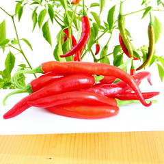 red  chili pepper