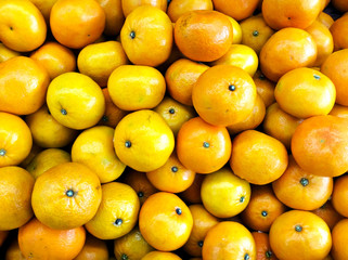 Fresh Oranges on Shelf in Supermarket