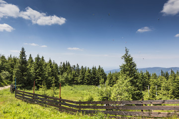 Mountain landscape from Skrzyczne. Hillside covered with pine tr
