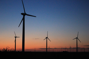 Obraz premium Wind turbines at sunset, Black Sea, Bulgaria