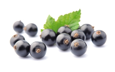 Sweet black currants