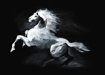 Fototapeta na wymiar illustration of horse