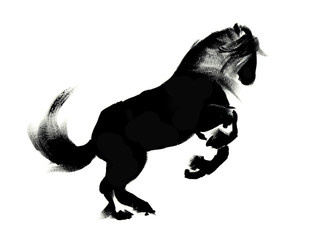 illustration of horse