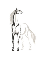 Obraz na płótnie Canvas illustration of horse