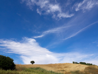 Naklejka premium Paesaggio meridionale