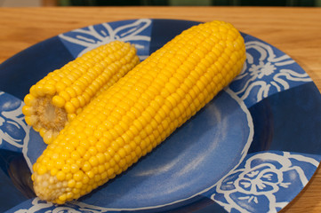 Corn on plate