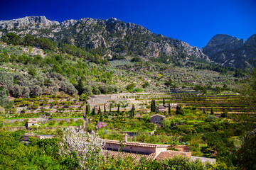 Obraz premium mountain landscape near village Fornalutx