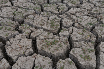 dry cracked soil